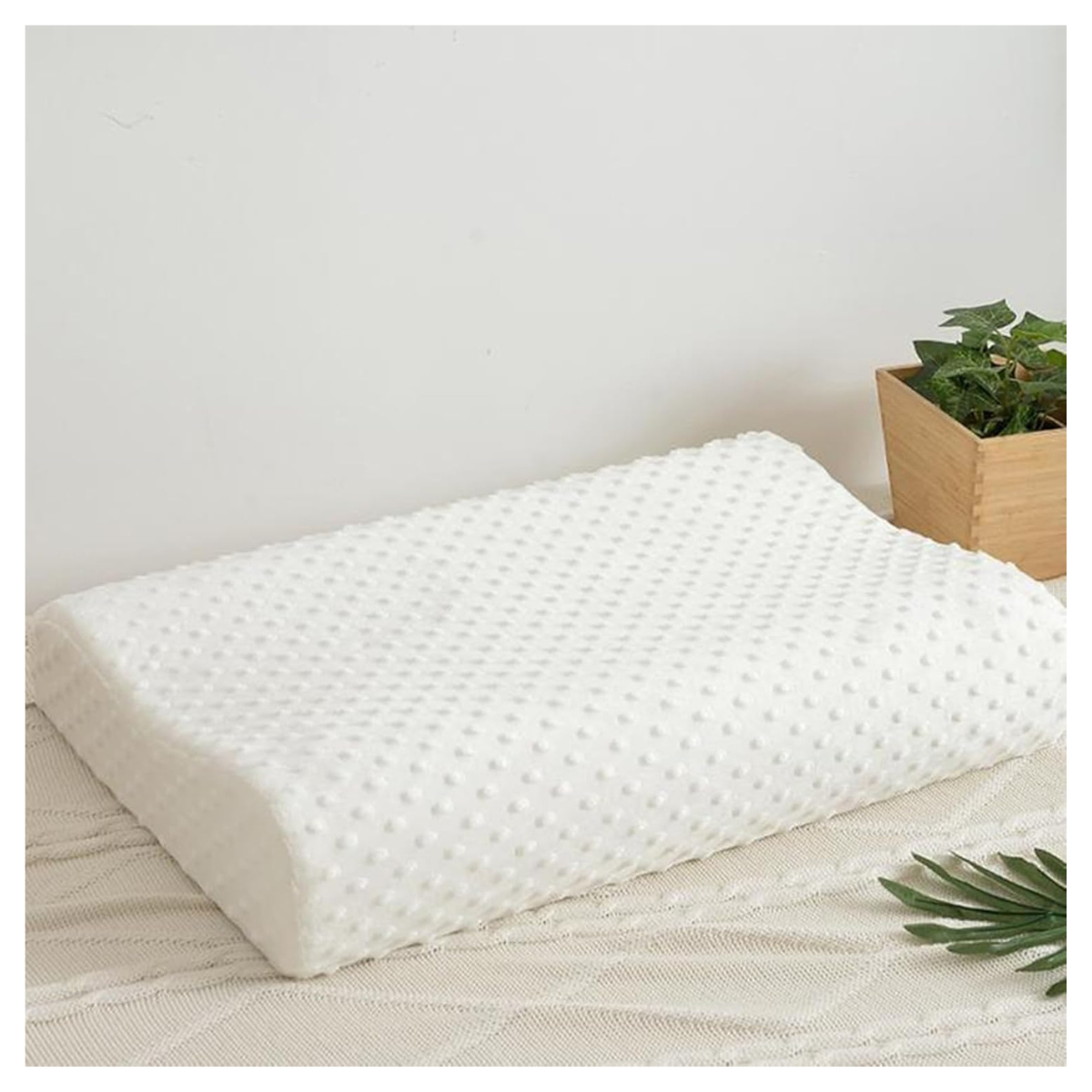 Lacustre product 04